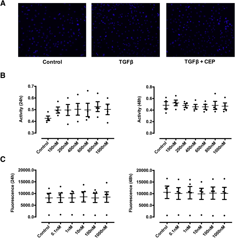 Figure 12