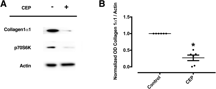 Figure 13