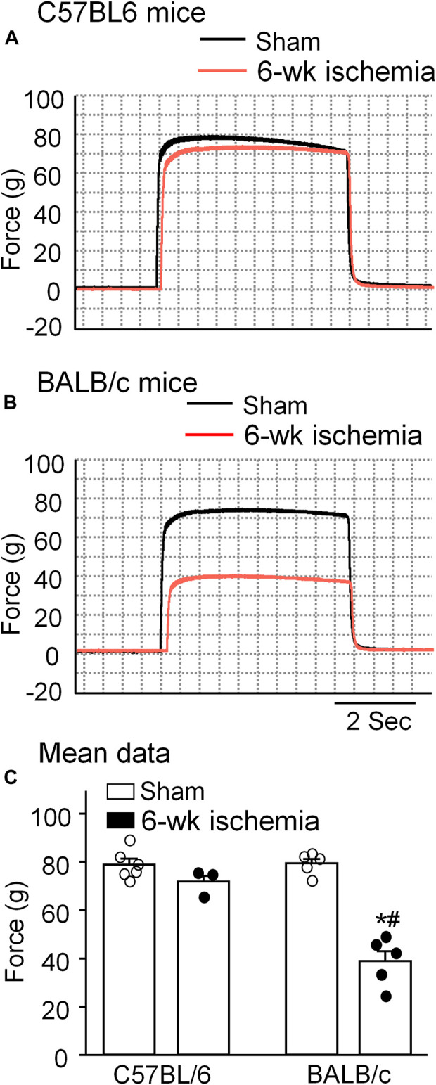 FIGURE 4