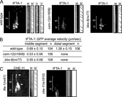 Figure 6.