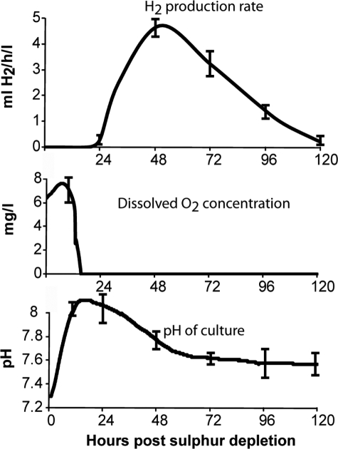 FIGURE 1.