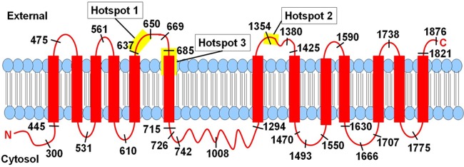 Fig 6