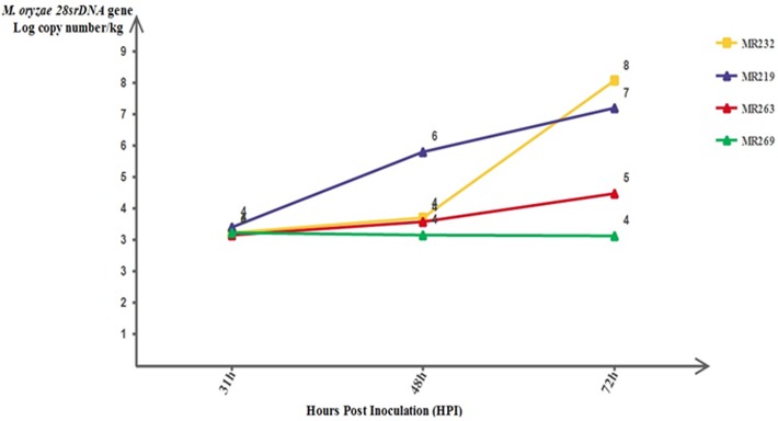 Fig 3