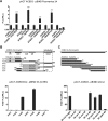 FIG 1