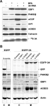 FIG 5