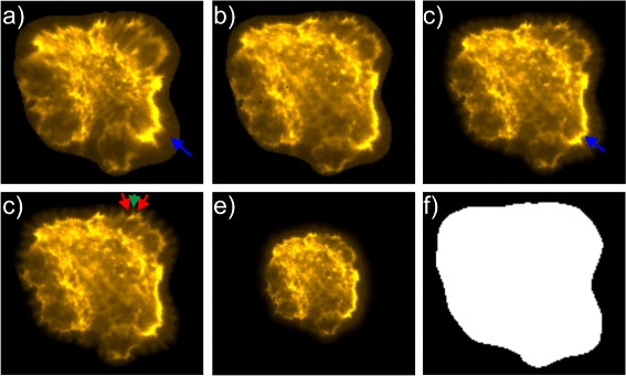 Fig. 3