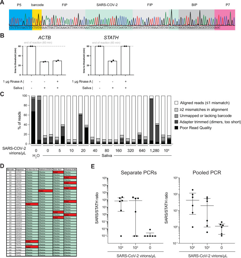 Figure 2—figure supplement 1.