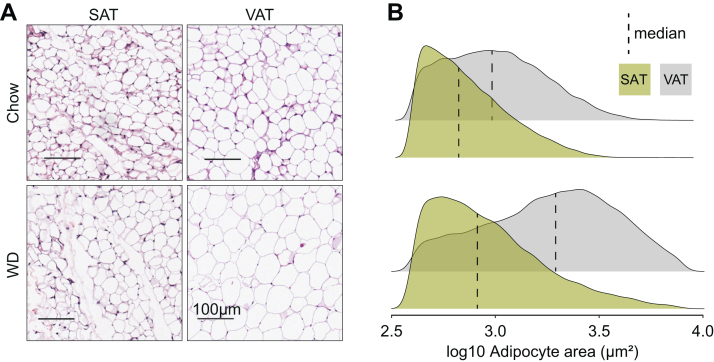 Fig. 3