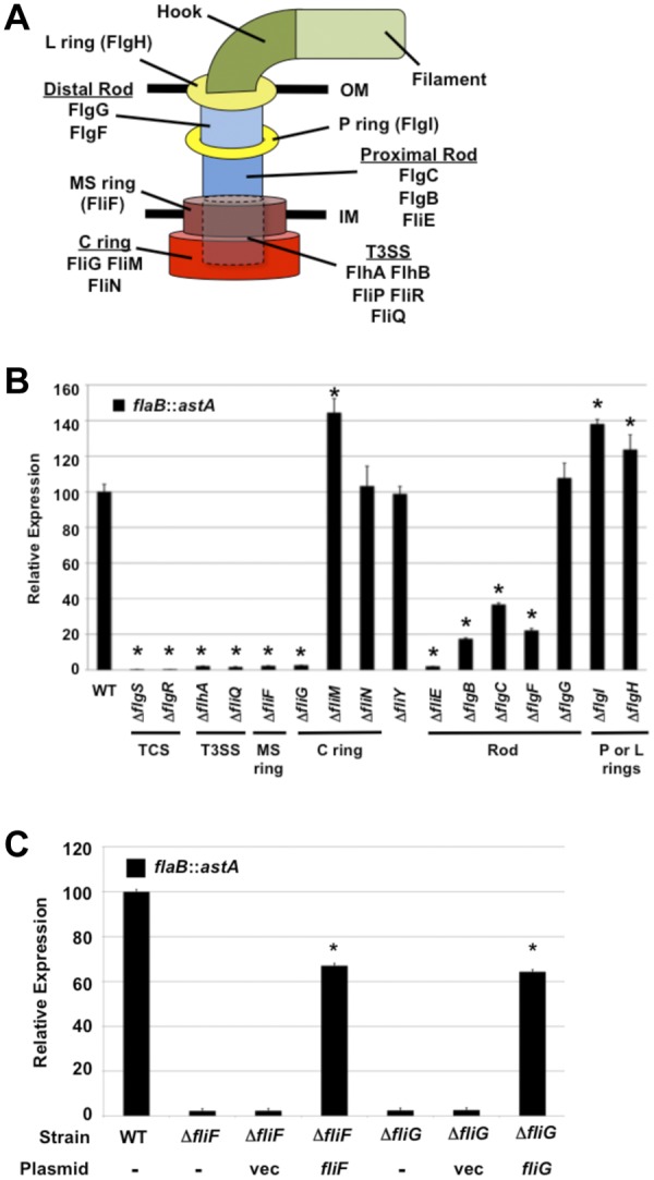 FIG 1 