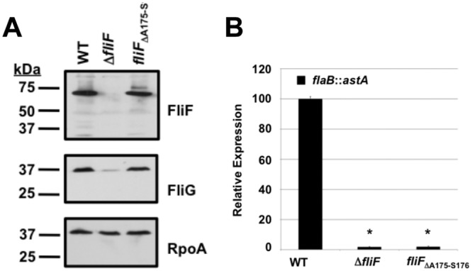 FIG 4 