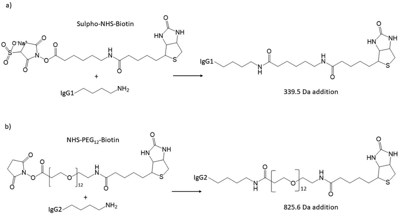 Scheme 1.