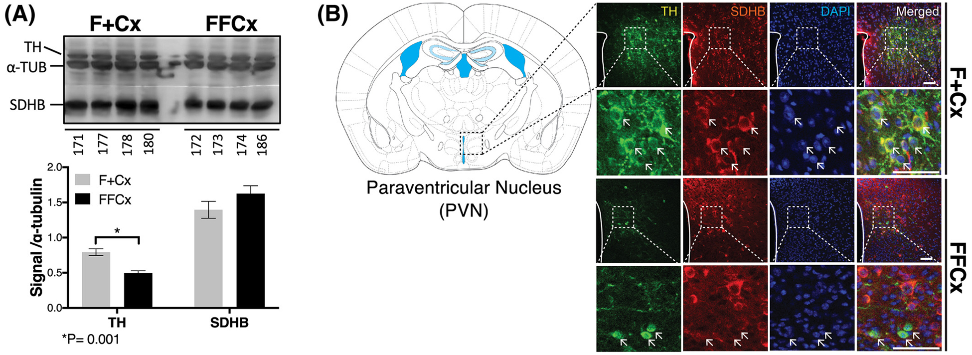 Figure 6.