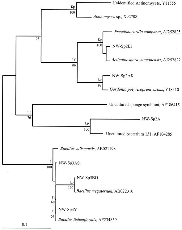 FIG. 7