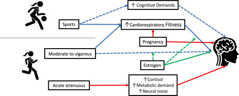 Fig. 2