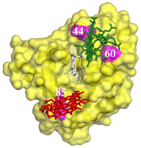 Fig 10