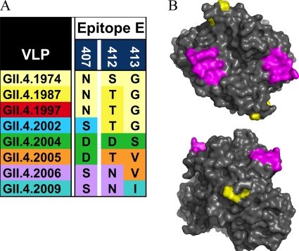 Fig 7