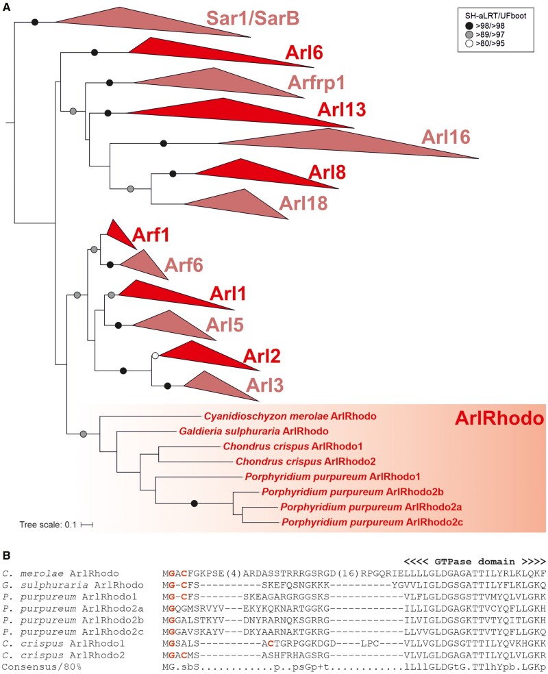 Fig. 6.