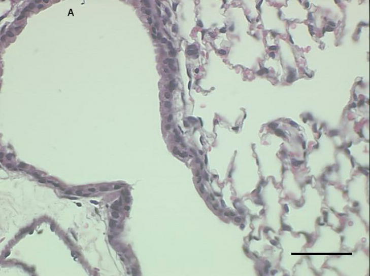 Figure 3a-c