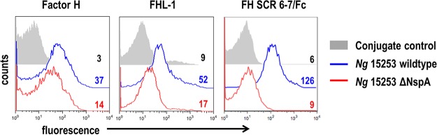 FIG 1