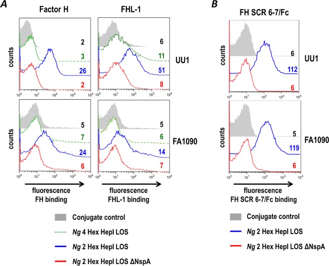 FIG 2