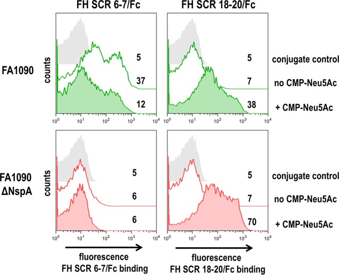 FIG 3