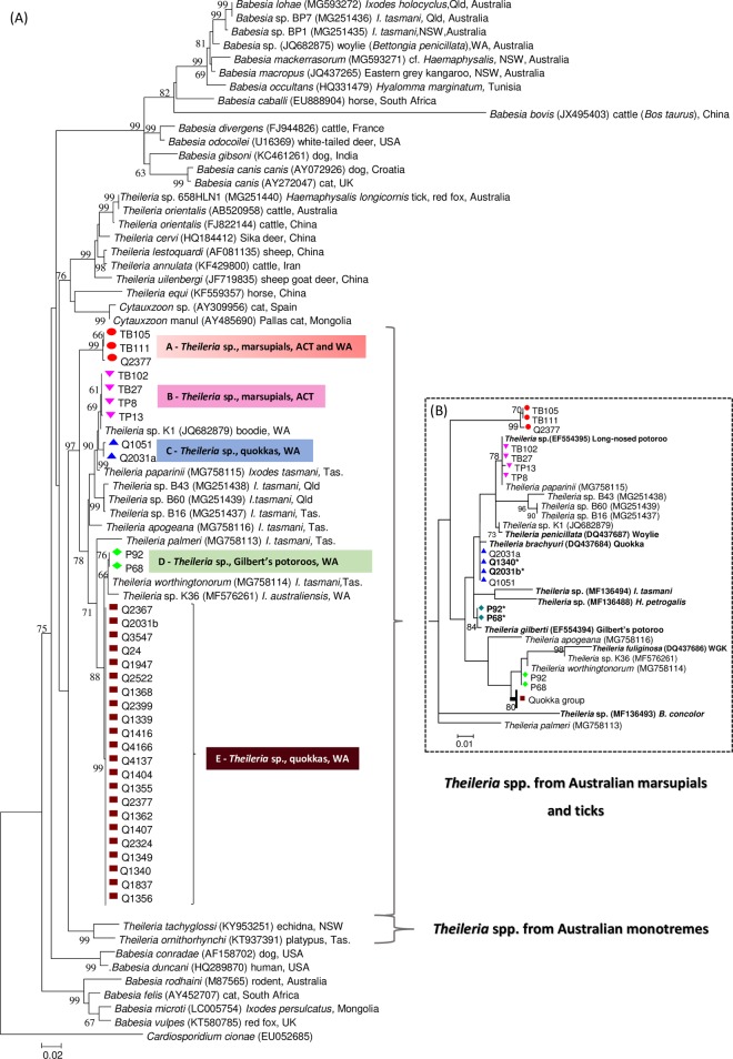 Fig 1