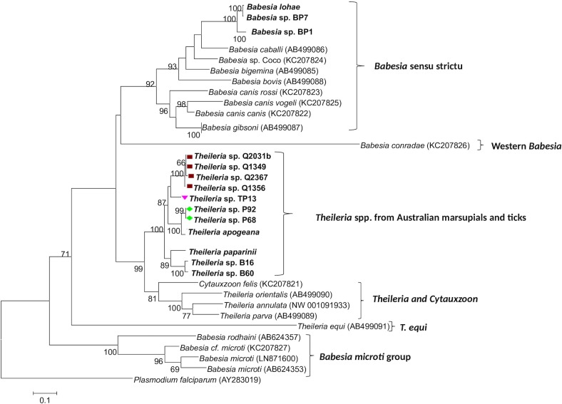 Fig 2