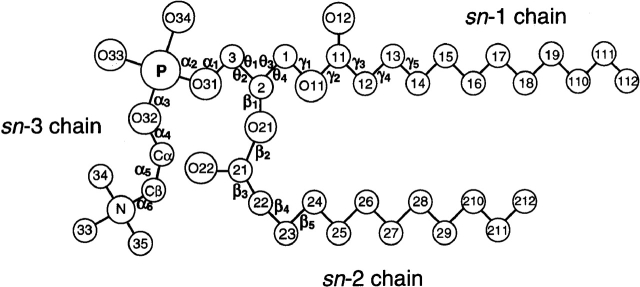 Figure 2.