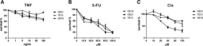 Figure S1