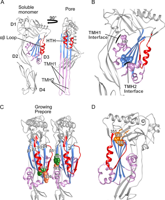 FIG 1