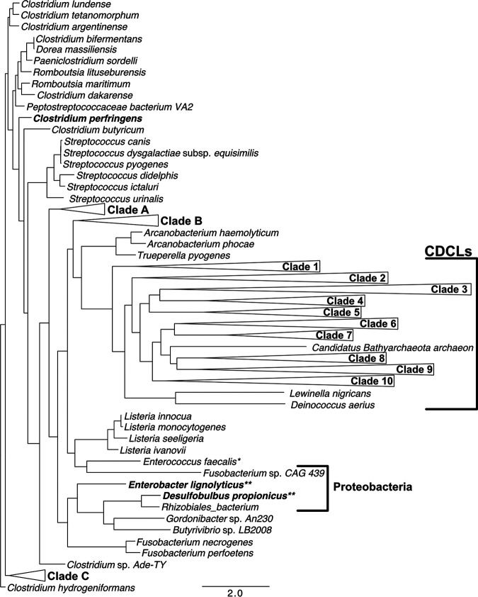 FIG 6