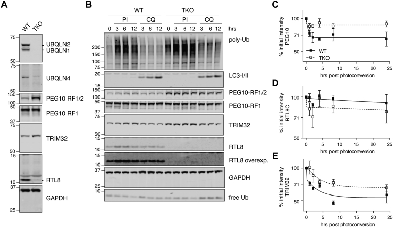 Figure 3