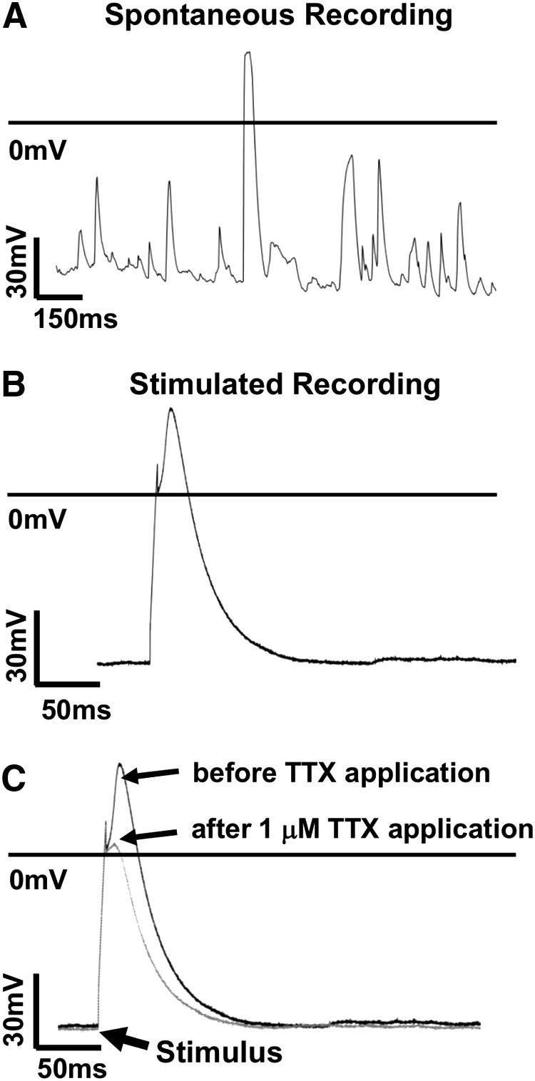 FIG. 4.