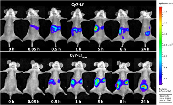 Figure 5