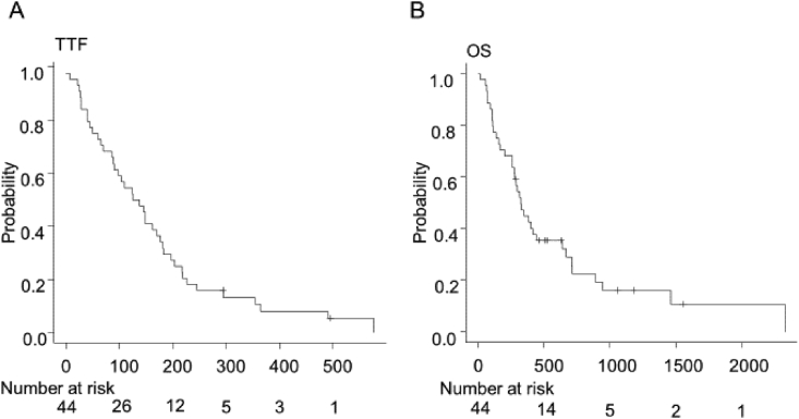 Fig. 1