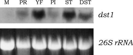 Figure 6.