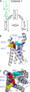 Figure 11.