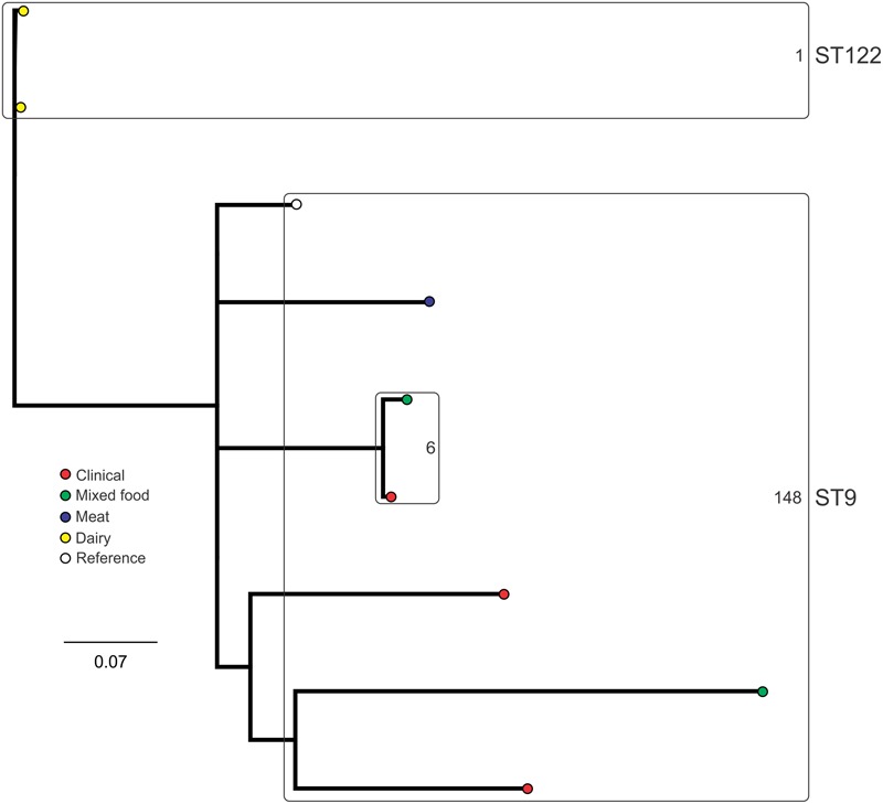 FIGURE 7