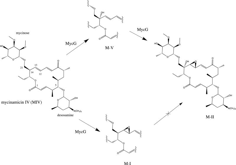 Scheme 1