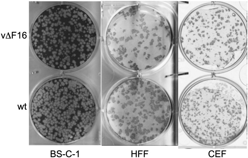 Fig. 2