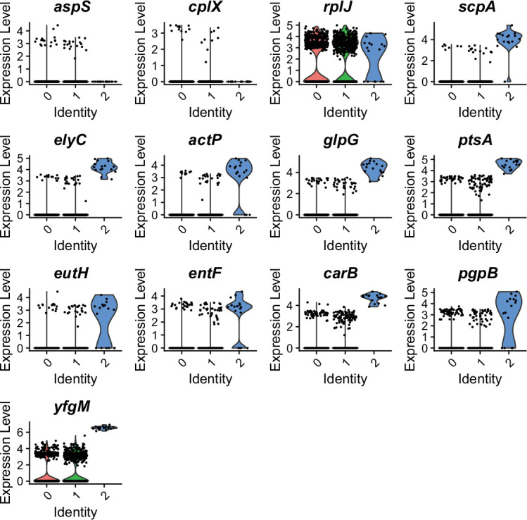 Figure 2—figure supplement 2.