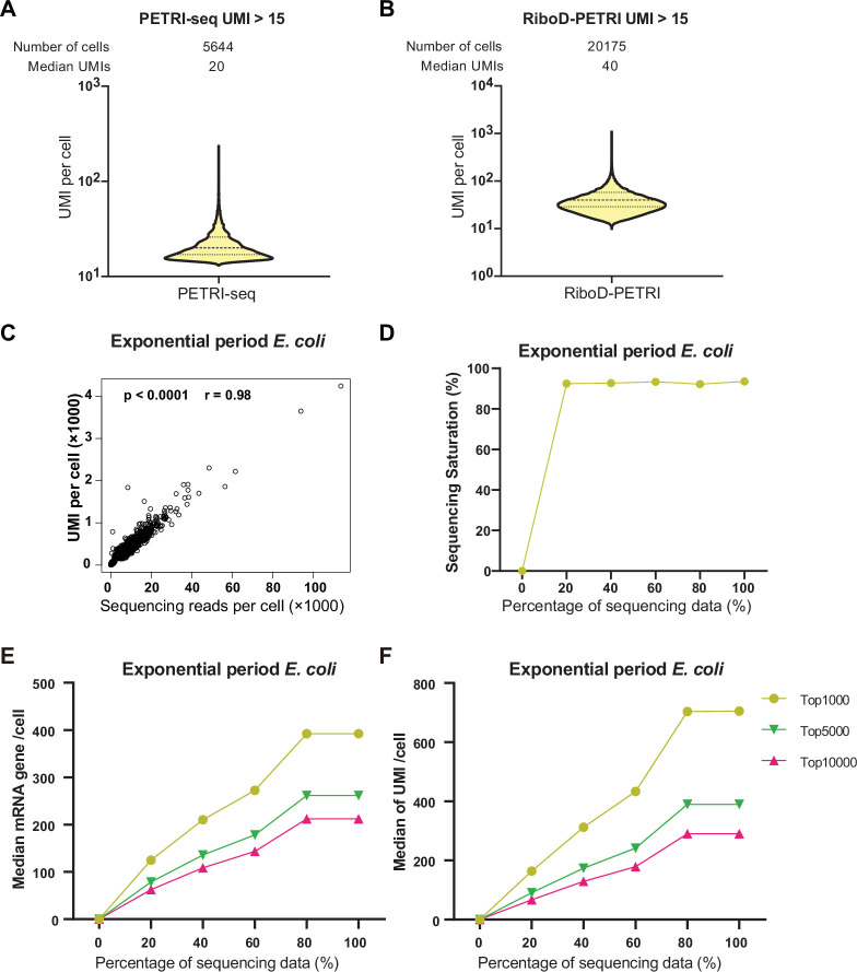 Figure 1—figure supplement 1.