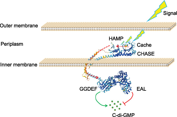 Figure 4—figure supplement 1.