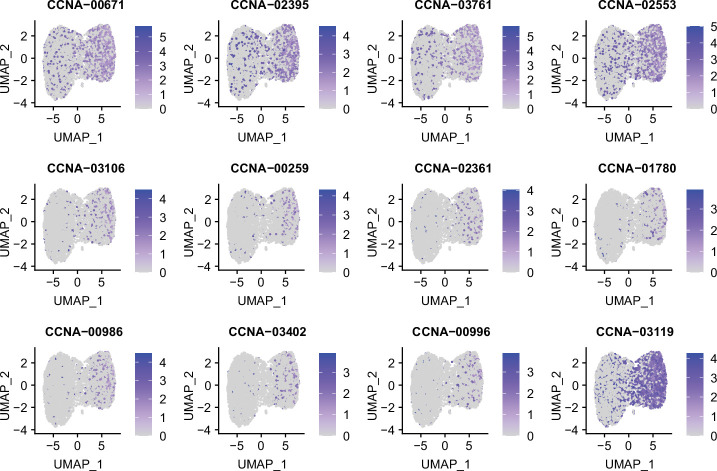 Figure 2—figure supplement 4.