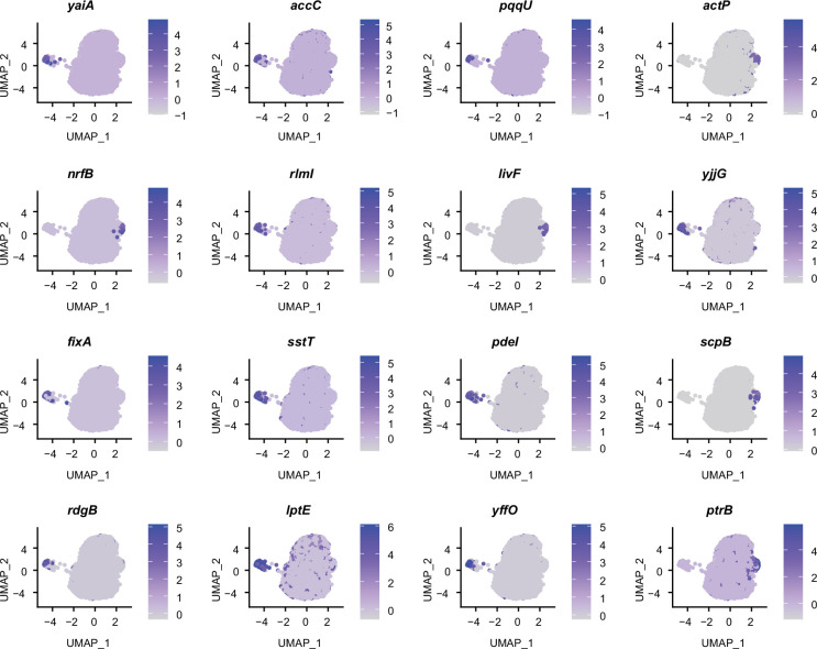 Figure 3—figure supplement 2.