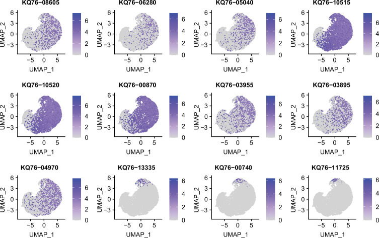 Figure 2—figure supplement 3.