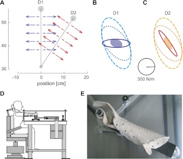 Fig. 1.