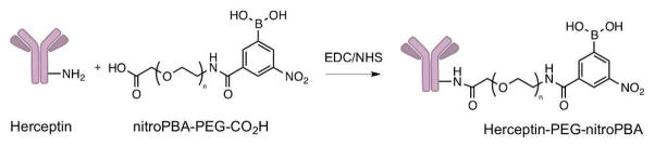 Scheme 4