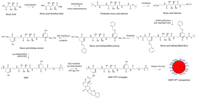 Scheme 2