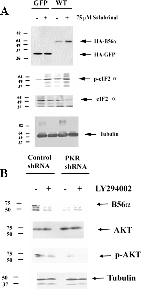 FIGURE 10.